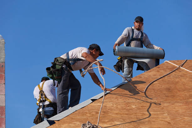 Quick and Trustworthy Emergency Roof Repair Services in Centreville, MD