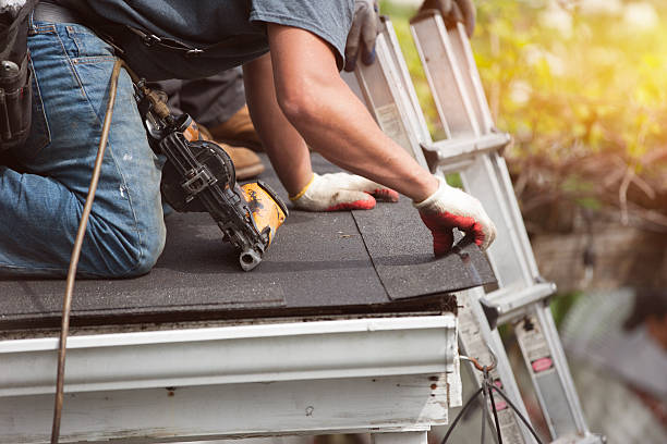 Roof Gutter Cleaning in Centreville, MD